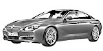 BMW F06 U110C Fault Code